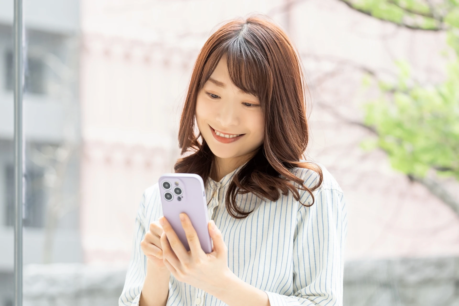 行政書士11